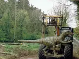 Dinosaur on a forklift, photo of our Tenby theme park being built 