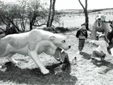  Old photo of kids in our brand new dinosaur park in 1994